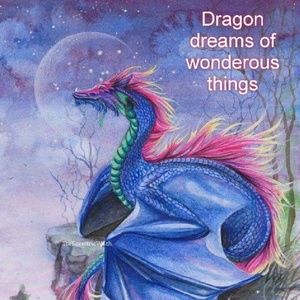 DRAGONS DREAM WONDEROUS THINGS
